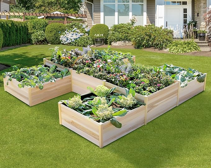 AMERLIFE Raised Garden Bed – 12x12x2 ft H-Shaped Wooden Planter Box, 180 Cu. Ft Capacity, Double-Layer Design for Outdoor Patio, Yard, and Garden Use AMERLIFE