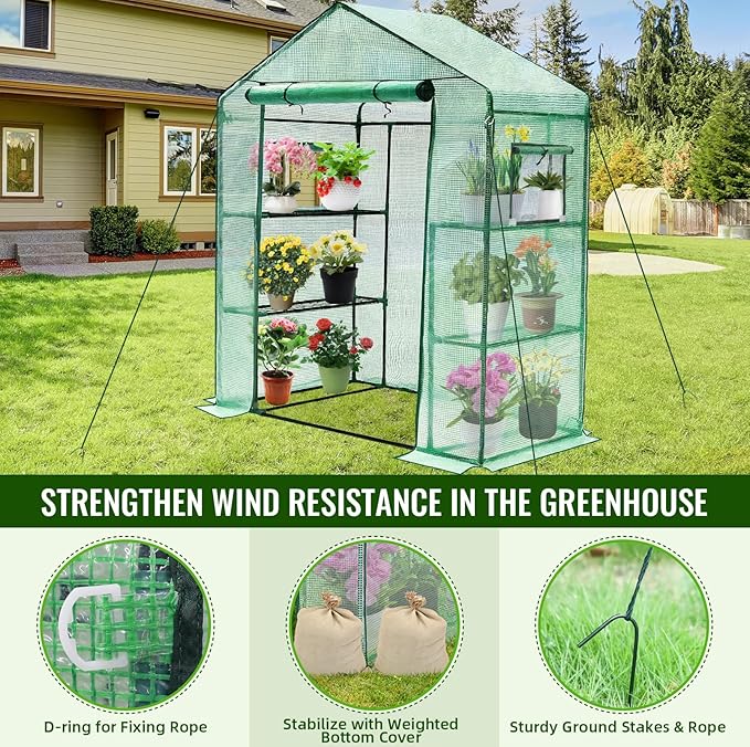 Greengro Greenhouse, 28 x 57 x 76'' Greenhouses for Outdoors, Small Plant Green House with Screen Windows, 3 Tiers 4 Shelves, Durable PE Cover, Plastic Portable Walk in Greenhouses for Outside Indoor Greengro