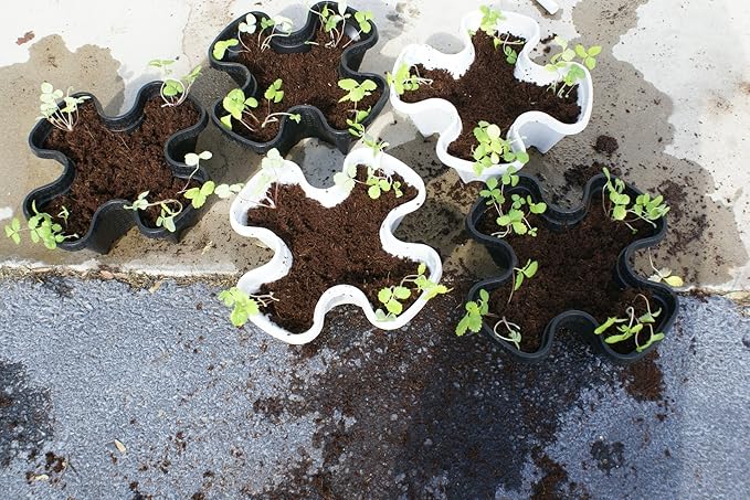 Mr. Stacky Multiple Color (Black + White) 5 Layer 13inch Vertical Planter Mr.+Stacky