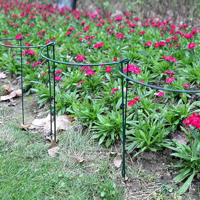 TCBWFY 10 Pack Garden Plant Support Stakes,10" Widex16 High Heavy Duty Interlinked Half Round Peony Support Ring Cage for Indoor Outdoor Plants,Plant Supports for Peony,Tomato,Hydrangea,Rose TCBWFY
