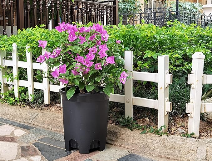 5 Gallon 6-Pack Large Plant Pots Nursery Tree Pot Plastic Planters for Outdoor Indoor Plants Gardening Flower Pots with Drainage Holes CottaPlanters