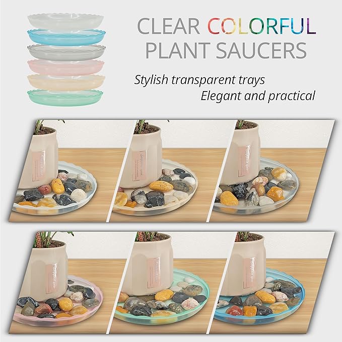12Pcs Clear Plant Saucer, 6 8 10 Inch Durable Plastic Plant Tray, Round Plant Pot Saucers, Drip Tray for Indoor and Outdoor Garden, Amber Brown Lifecouldbesointeresting