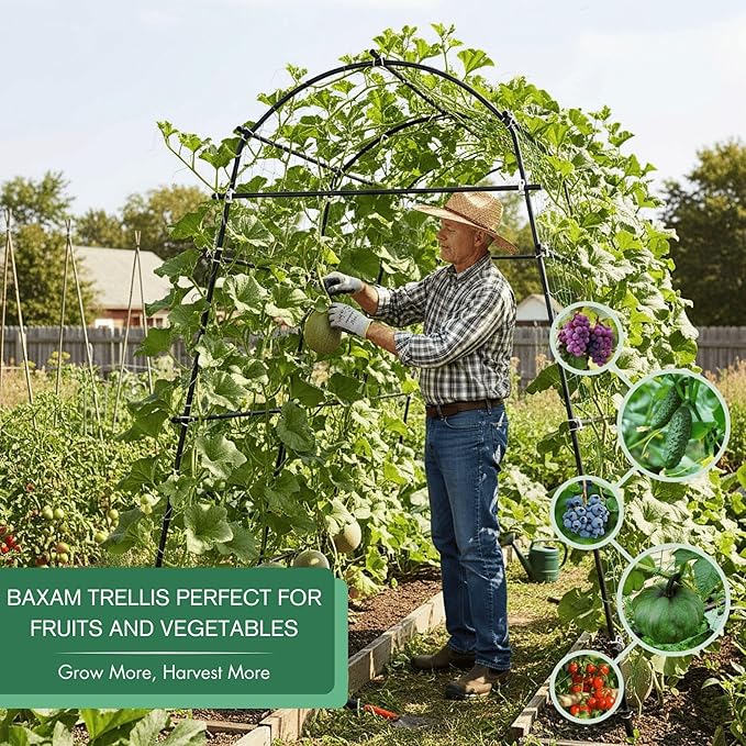 7ft Garden Arch Trellis for Climbing Plants Outdoor-Heavy Duty Metal Cucumber Trellis for Raised Beds- Tall Steel Vegetable Arbor with Strong Bolt Assembly & Outdoor-Ready Stakes GardenArchTrellisforPlants
