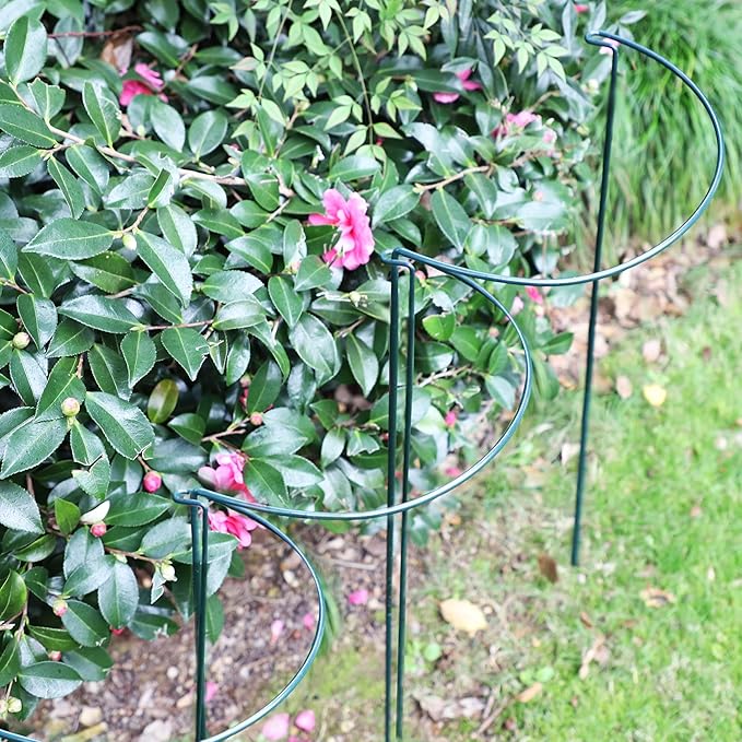 TCBWFY 10 Pack Plant Support Stakes for Peony,10"Widex24"High Heavy Duty 4.5mm Peony Cages and Support,Metal Peony Supports for Outdoor Indoor Plants,Plant Supports for Peony TCBWFY