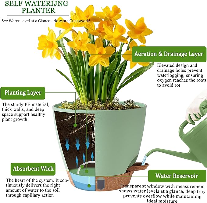 Self Watering Pots for Inoor Ourdoor Plants 8/7/6.5/6/5 Inch Plastic Planters with Drainage Holes & Water Level Indicator, Decorative House Flower Nursery Planting Pots with Saucers(Green) Fielda
