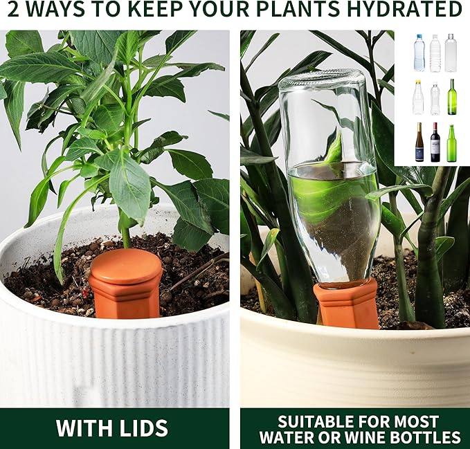 Large Terracotta Watering Spikes with Lids, Automatic Plant Waterer Outdoor | Indoor, Vacation Friendly Clay Plant Watering Devices System, Slow Release Self Watering Planter Insert, 6 Pack SoilaguaDirect
