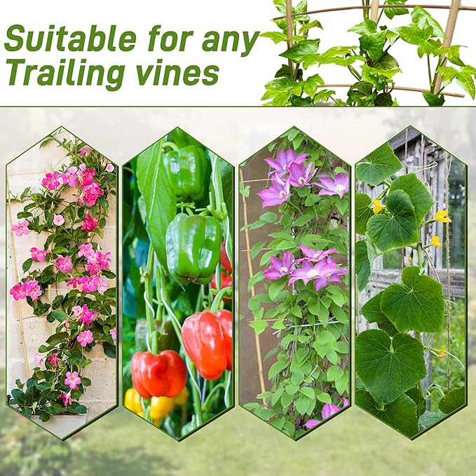 Avalution 10 Pack Bamboo Trellis for Climbing Plants, 2 FT Garden Ladder Trellis for Potted Plants Indoor, Fan-Shaped Small Plant Support Trellis for Houseplants Ivy Hoya Vine Monstera Avalution