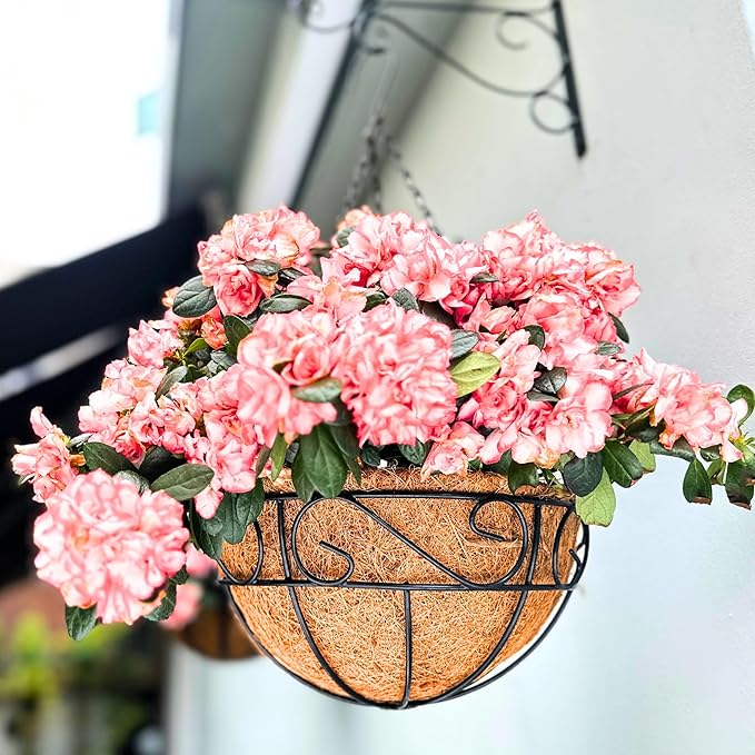 LaLaGreen Hanging Planter for Outdoor Plants (14 Inch, 4 Pack) Hanging Baskets with Coco Liner, Black Metal Wire Flower Basket Pots with Hook Hanger Balcony Porch Farmhouse Country Style Garden Decor L%C3%A1L%C3%A1Green
