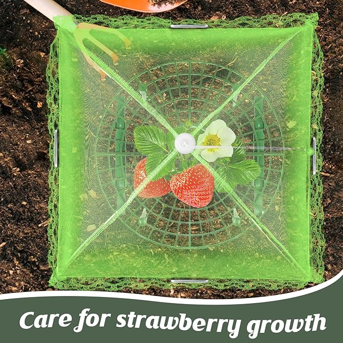 6 Sets Strawberry Plant Support with Mesh Plant Cover,Strawberry Growing Racks Sets with Iron Plant Nails and Storage Bag for Garden Strawberry Vegetables(Green Net - Round) Rootora