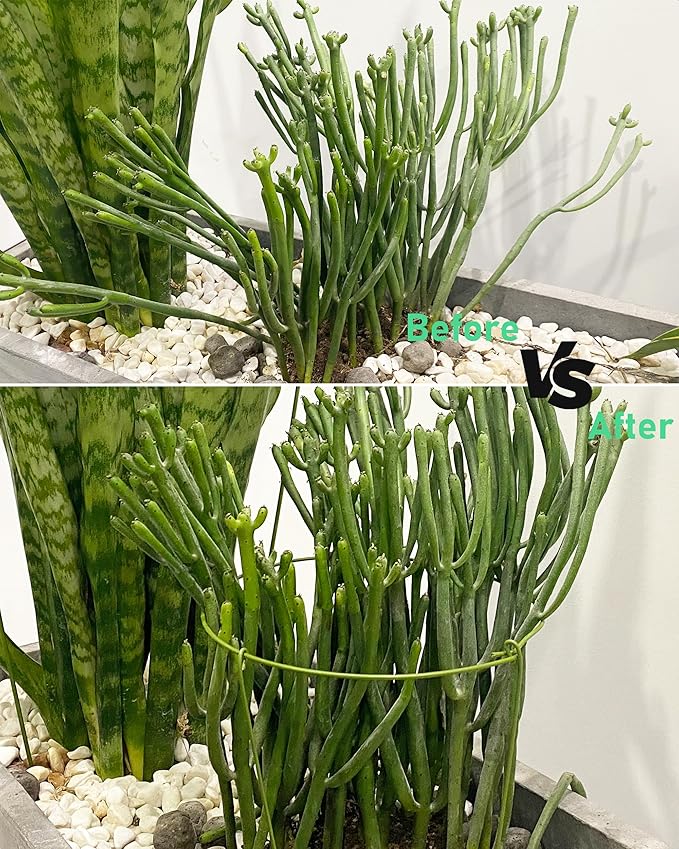 3-Pack Heavy Duty Plant Support Stakes, Metal Plant Ring Cages for Indoor Outdoor Plants, Adjustable Garden Stakes for Peonies, Monstera, Pothos, Hydrangea, Vines & Potted Plant (10" W x 17" H) Rootora