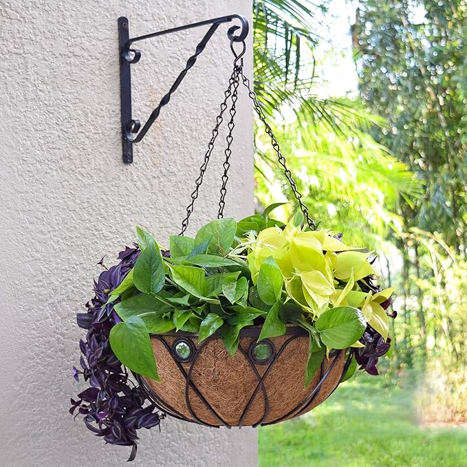 Arcadia CB02 Emerald Series Round Hanging Basket Planters, 16-Inch Rootora