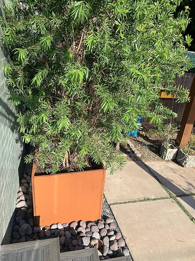 Corten Steel Planter Box Metal Square Planters 26 Inch Steel Large Outdoor Planter Tall Plant for Commercial Residential Patio and Backyard GZGNEEVL