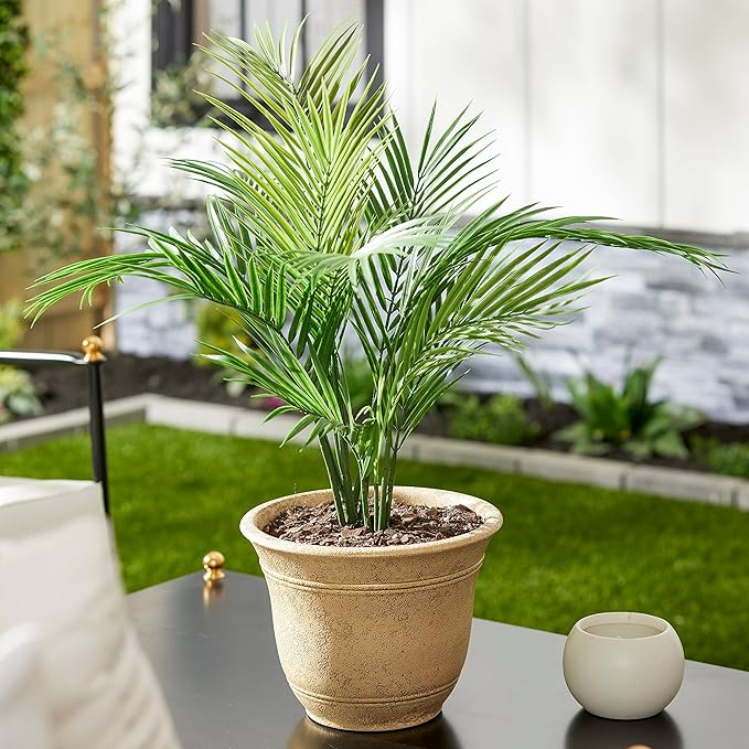 The HC Companies Sierra Round Self-Watering Pot - Lightweight Plastic Planter for Herbs & More - Durable Plant Pots for Indoor Plants & Outdoor Plants (10” Arizona Sand, Pack of 1) TheHCCompanies