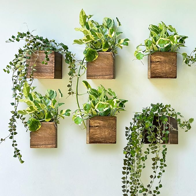 LaLaGreen Wood Planter Boxes for Indoor Plants (4x4 Inch, 6 Pack) Small Square Wall Mounted Planters Flower Pot, Herb Wooden Box Hanging Plant Holder Outdoor Balcony Vertical Garden Modern Home Decor L%C3%A1L%C3%A1Green