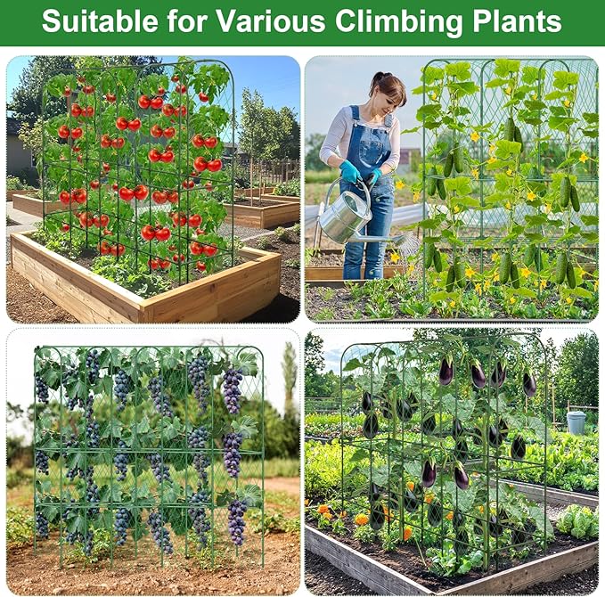 Cucumber Trellis for Raised Bed 5.4x5.5ft U-Shape Adjust Metal Garden Trellis for Climbing Plants Outdoor with Climbing Net Vegetable Arch Trellises Support Plant for Tomato Pea Fruit Squash Trellises LifeisLuck