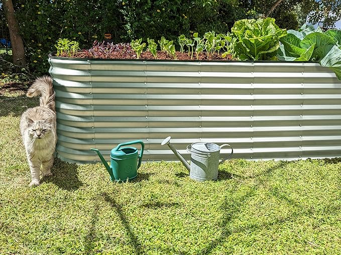 Plant & Plot Galvanized Raised Garden Beds Outdoor // 6×2×2 ft Planter Raised Beds for Gardening, Vegetables, Flowers // Large Metal Garden Box (Silver) // Patented Tool-Free Design PlantPlot