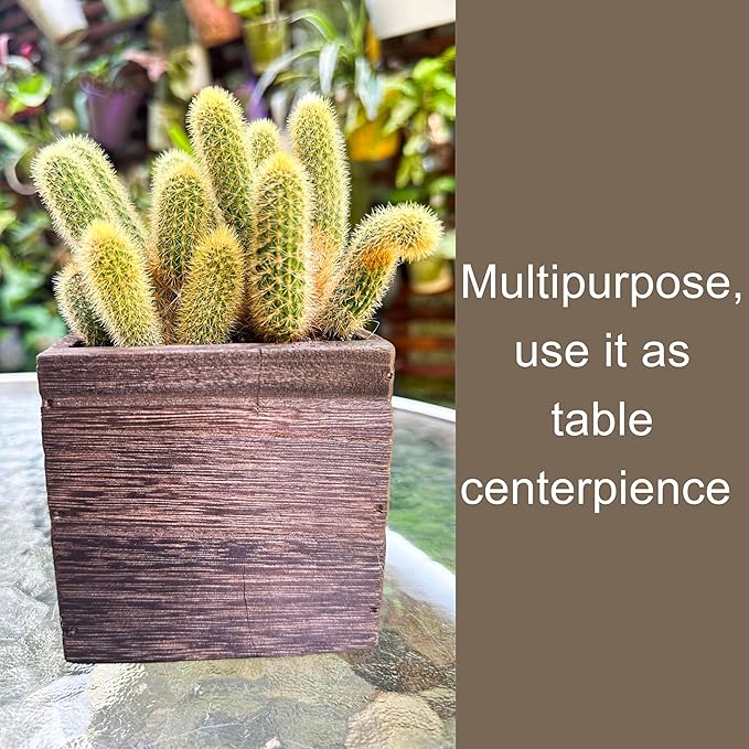 LaLaGreen Wood Planter Boxes for Indoor Plants (4x4 Inch, 6 Pack) Small Square Wall Mounted Planters Flower Pot, Herb Wooden Box Hanging Plant Holder Outdoor Balcony Vertical Garden Modern Home Decor L%C3%A1L%C3%A1Green