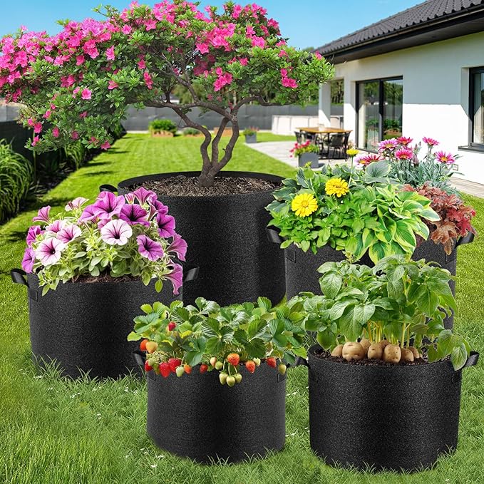 10 Pack 2 Gallon Grow Bags, Thickened Nonwoven Fabric Planter Pots with Handles, Heavy Duty 300G Garden Pots for Tomato, Potato and Vegetable Rootora