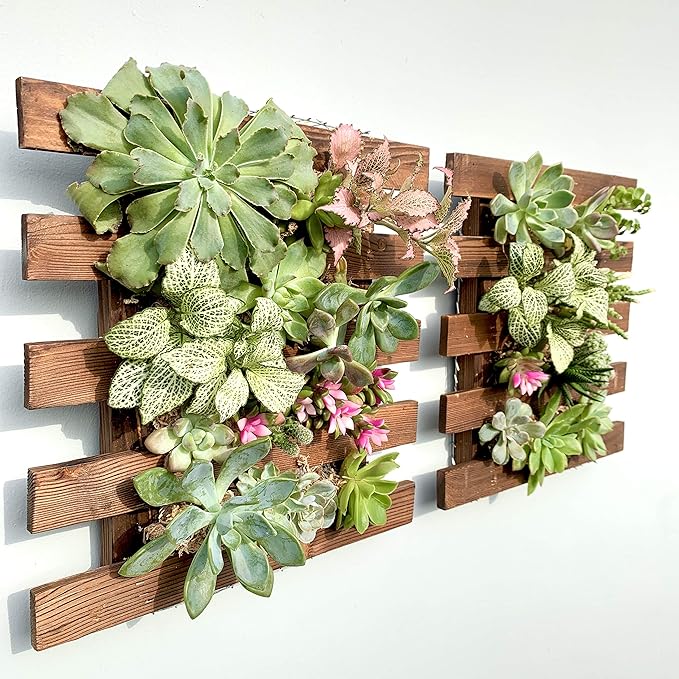 ShopLaLa Wall Planter - 2 Pack Wooden Hanging Succulent Wall Decor, Live Air Plants Orchids Wall Mounted Holder Frame Display for Indoor Outdoor, Living Plant Wall Decor Balcony Garden ShopLaLa