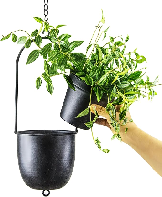 Stackable Metal Hanging Planters, Set of 2 Black Oval Plant Hangers with 6 inch Flower Pots, Modern Wall and Ceiling Plant Holders for Indoor Outdoor Plants Home Décor HemePaha