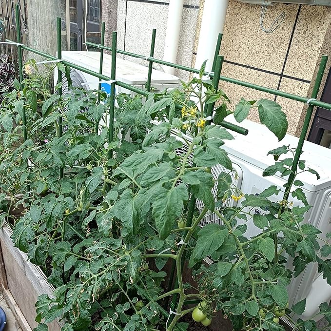 6Ft 72inch Garden Stakes Sturdy Plant Sticks Support Tomato Stakes for Vegetable,Pack of 20 Jxrhy