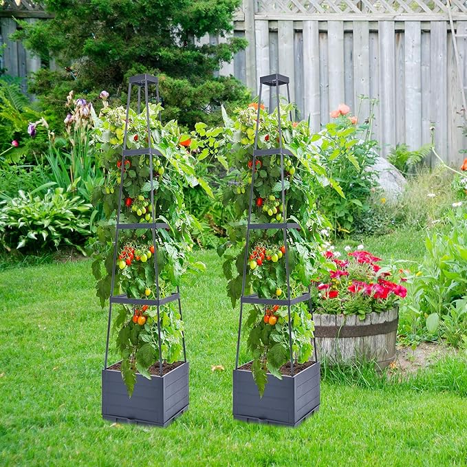 GENMOUS Raised Garden Bed with Tomato Planter Box Trellis, 56'' Tomato Cages for Garden, Tomato Planter Cage for Patio for Climbing Plants Vegetable Vine Flowers Outdoor & Indoor, 4 Pack GenMousCo