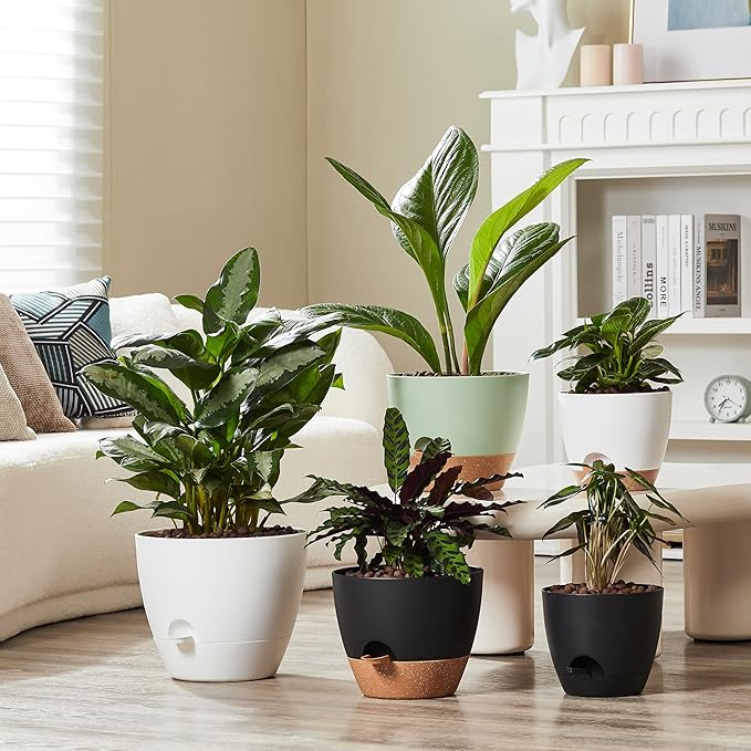 FaithLand 3-Pack Planter Pots, 10 9 8 Inch Self Watering Flower Pots for Indoor Outdoor Garden Plants, White with Brown FaithLand
