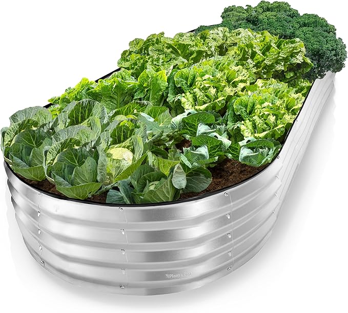 Plant & Plot Galvanized Raised Garden Beds Outdoor // 8×4×1 ft Planter Raised Beds for Gardening, Vegetables, Flowers // Large Metal Garden Box // Patented Tool-Free Design (Silver) PlantPlot