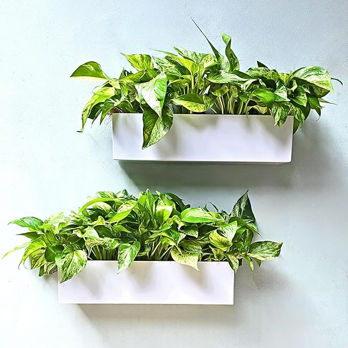 LaLaGreen Wall Planter (16 Inch, 2 Pack) Carbon Steel White Metal Hanging Flower Pot for Succulents, Wall Mount Rectangular Window Sill Box Fence Floating Garden Shelf for Deck Indoor Outdoor Decor L%C3%A1L%C3%A1Green