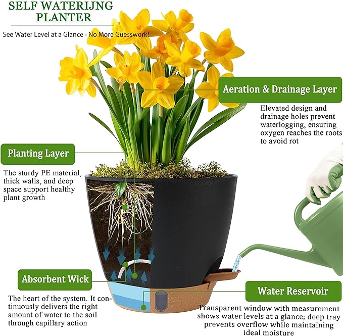 Self Watering Pots for Inoor Ourdoor Plants 10/9/8/7/6.5 Inch Plastic Planters with Drainage Holes & Water Level Indicator, Decorative House Flower Nursery Planting Pots with Saucers (Black) Fielda
