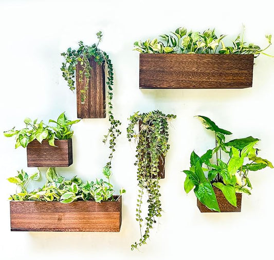 LaLaGreen Wood Planter Box for Plants (6 Pack) Wooden Hanging Wall Planters for Indoor Plant Holder Vase for Dried Flowers, Modern Farmhouse Wall Decor Living Room Bedroom Kitchen Office Home Garden L%C3%A1L%C3%A1Green