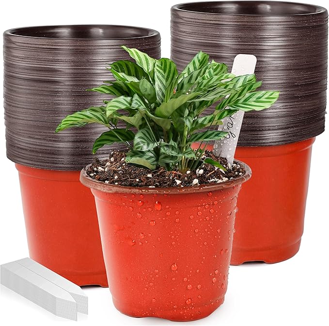 Plant Nursery Pot/Pots 100 Pcs 4" Plastic Small Plants Pots Flower Pots Seed Starting Pots for Plants Indoor Outdoor Seedling pots (with 100 Plant Labels) LWWTBS