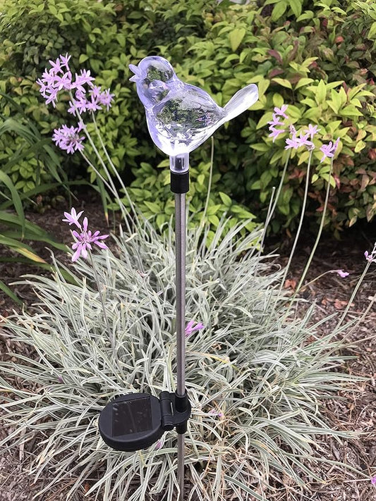 Solar Garden Stake Lights with Color Changing LED or Regular White LED Landscape Path Lights (Set of 2) (Bird) Ntertainment+House