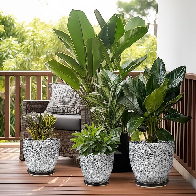 Ceramic Planter - 6.3 Inch Plant Pot for Indoor Ourdoor Plants, Round Succulent Planter, Decorative Flower Pots with Drainage Hole and Saucer, Home Desk Decor, Housewarming Gifts, White-black EPFamily