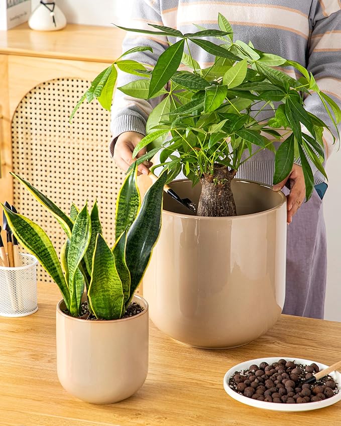 vancasso 6+8+10 inches Ceramic Plant Pots, Set of 3, Planters with Drainage Hole, Flower Pots Planters Pots for Indoor Plants, Modern Indoor Decorative Garden Pot, Home Decor, Brown vancasso