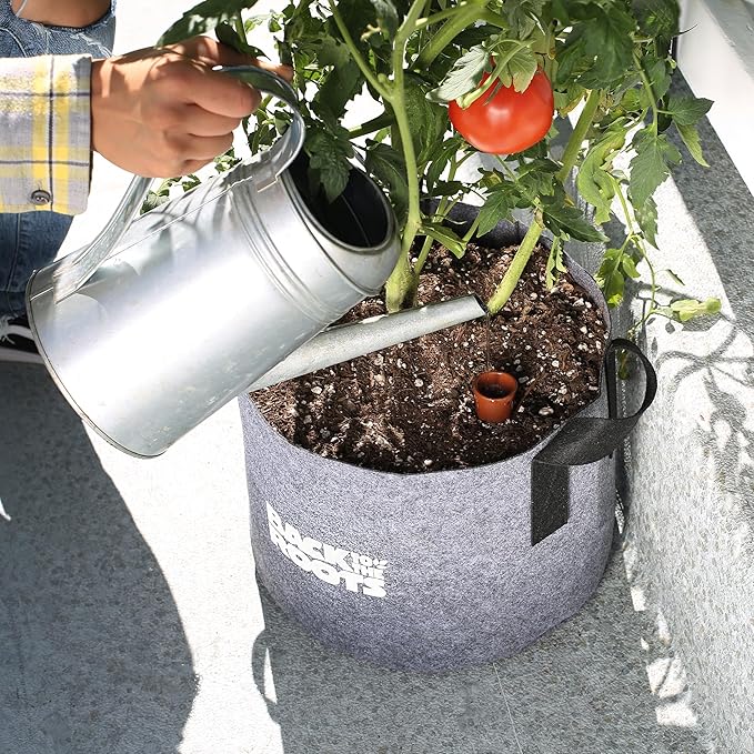 Back to the Roots Self-Watering Terracotta Olla Pot, 700mL Provides 1 Week of Precision Watering BacktotheRoots