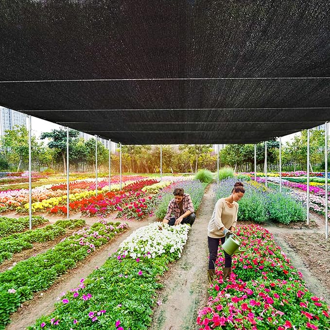 Shade Cloth - 70-90% Sunblock Net for Garden Patio,Shade Sails for Plants Greenhouse Outdoor Pergola Lawn Swimming Sun Shade Cloths for Kennel Chicken Coop Easier to Hang Shade Net Cover… QLOFEI