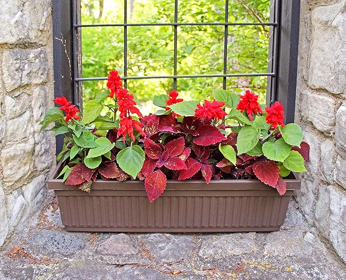 The HC Companies 18 Inch Venetian Rectangular Window Planter Box - Lightweight Plastic Indoor Outdoor Plant Pot with Drainage for Windowsill, Herbs, Flowers, Chocolate (Pack of 2) TheHCCompanies
