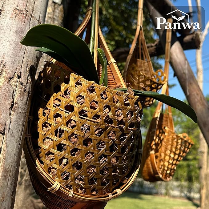 Handmade 100% Thai Bamboo Hanging Orchid Basket – 4 Inch, 5 Inch, 6 Inch (Triple Set) Panwa