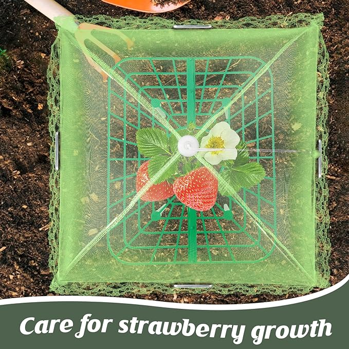 6 Sets Strawberry Plant Support with Mesh Plant Cover,Strawberry Growing Racks Sets with Iron Plant Nails and Storage Bag for Garden Strawberry Vegetables(Green Net - Square) Rootora