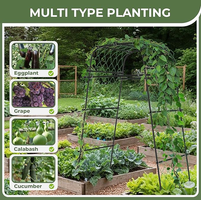 Garden Arch Plant Trellis for Climbing Plants Outdoor, Cucumber Trellis for Raised Bed, Grape Metal,Arbor Trellis Plant Support Flower Vegetables,Tomato Black,6.7FT Rust-Proof AlisisFores