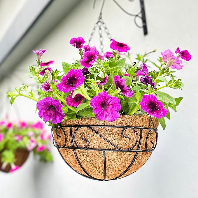 LaLaGreen Hanging Baskets for Plant Outdoor (18 Inch, 4 Pack) Large Black Metal Wire Hanging Planter with Coco Liner Round Flower Pot Hook Holder Hanger Deck Porch Country Modern Garden Balcony Decor L%C3%A1L%C3%A1Green
