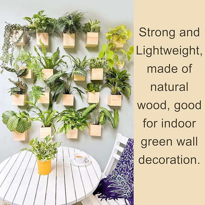 LaLaGreen Wooden Planter Box for Plants (4x4 Inch, 6 Pack) Small Square Wall Planters for Indoor Plant, Natural Wood Hanging Flower Boxes Herb Planter Table Centerpiece Modern Home Garden Office Decor L%C3%A1L%C3%A1Green