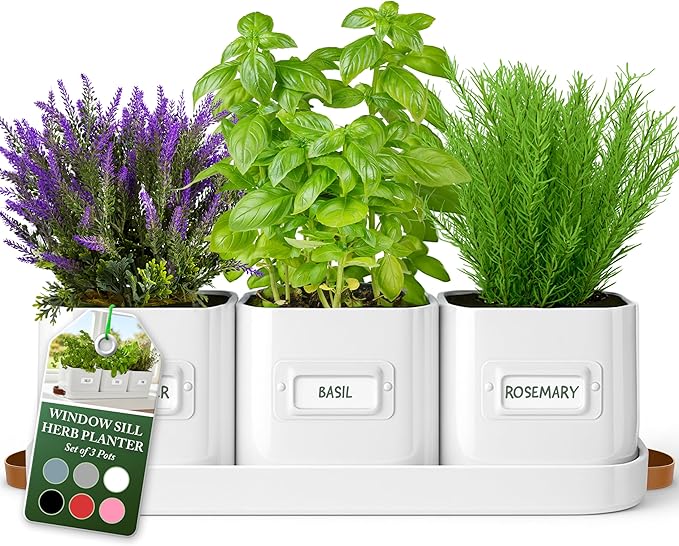 volila Herb Planter Indoor - Set of 3 Warmstone Indoor Herb Garden Pots for Plants with Leather Handled Tray - Window Sill Plant Shelf - Herb Pots with Drainage Holes and Labels volila