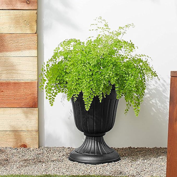 Arcadia Garden Products PL10BK Classic Traditional Plastic Urn Planter Indoor/Outdoor, 15" x 13", Black Rootora