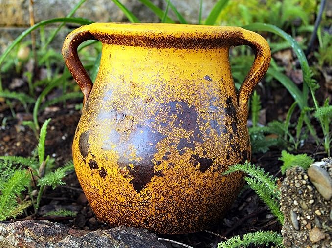 Goodman and Wife Egyptian Era Designed Earthen Ware Terra-Cotta Vessel/Planter with Looped Handles (Tulip Pumpkin Yellow) Goodman+and+Wife
