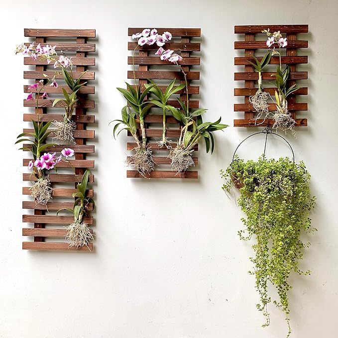 ShopLaLa Wall Planter – 3 Pack Wooden Hanging Planter for Indoor Plants, Air Plant Succulent Holder, Live Vertical Garden Large Wall Mounted Plant Stand Decor for Christmas 15.7 + 23.6 + 35.4 Inch ShopLaLa