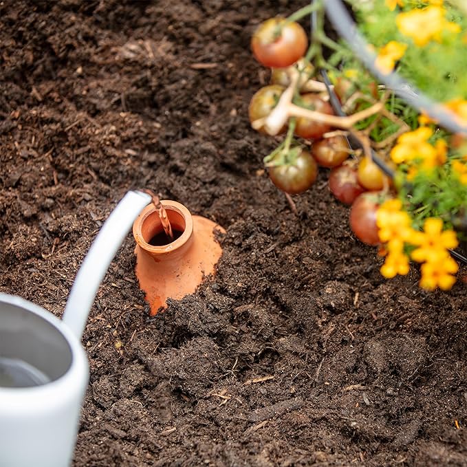 Back to the Roots Self-Watering Terracotta Olla Pot, 700mL Provides 1 Week of Precision Watering BacktotheRoots