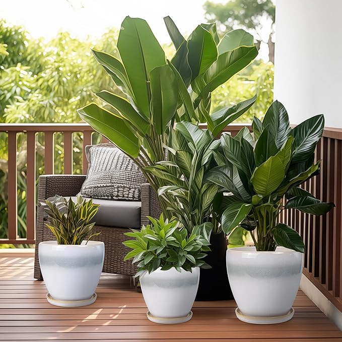 6.3 Inch Plant Pot - Ceramic Planters for Indoor Ourdoor Plants, Modern Succulent Pot, Round Planter with Drainage Hole and Saucer, Room Office Garden Home Decor, Plant Lover Gift, White-Grey EPFamily