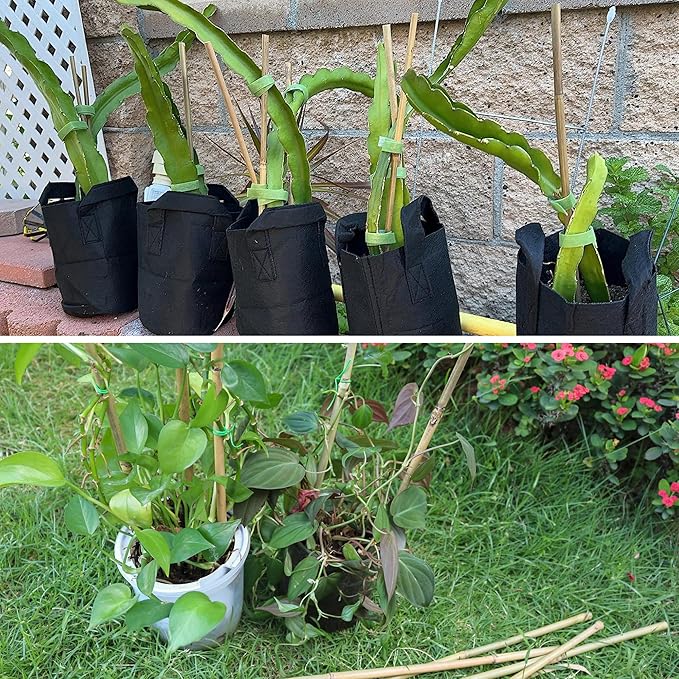 50Pcs / 2ft Bamboo Plant Stakes for Indoor Outdoor Plants, Garden Plant Support Sticks, Poles for Tomato Vegetables Beans Trees Potted Climbing Plants(0.32'') Avalution